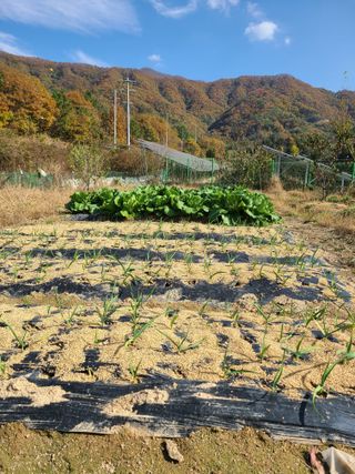 귤8640님의 자유주제 · 자유게시판 작성글 사진
