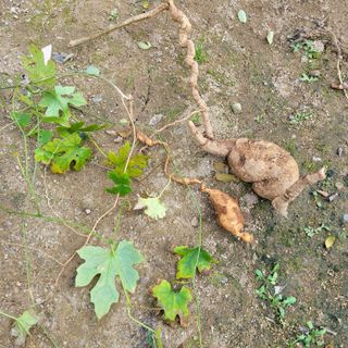 이창화님의 자유주제 · 자유게시판 작성글 사진