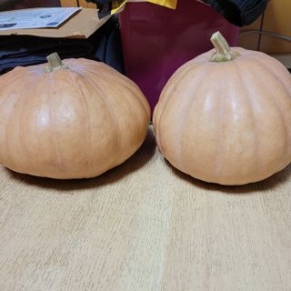 이창화님의 자유주제 · 자유게시판 작성글 사진