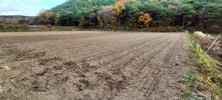 전소연님의 자유주제 · 자유게시판 작성글 사진