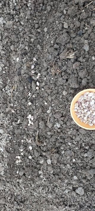 전소연님의 자유주제 · 자유게시판 작성글 사진