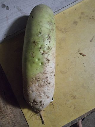 정석범님의 자유주제 · 자유게시판 작성글 사진