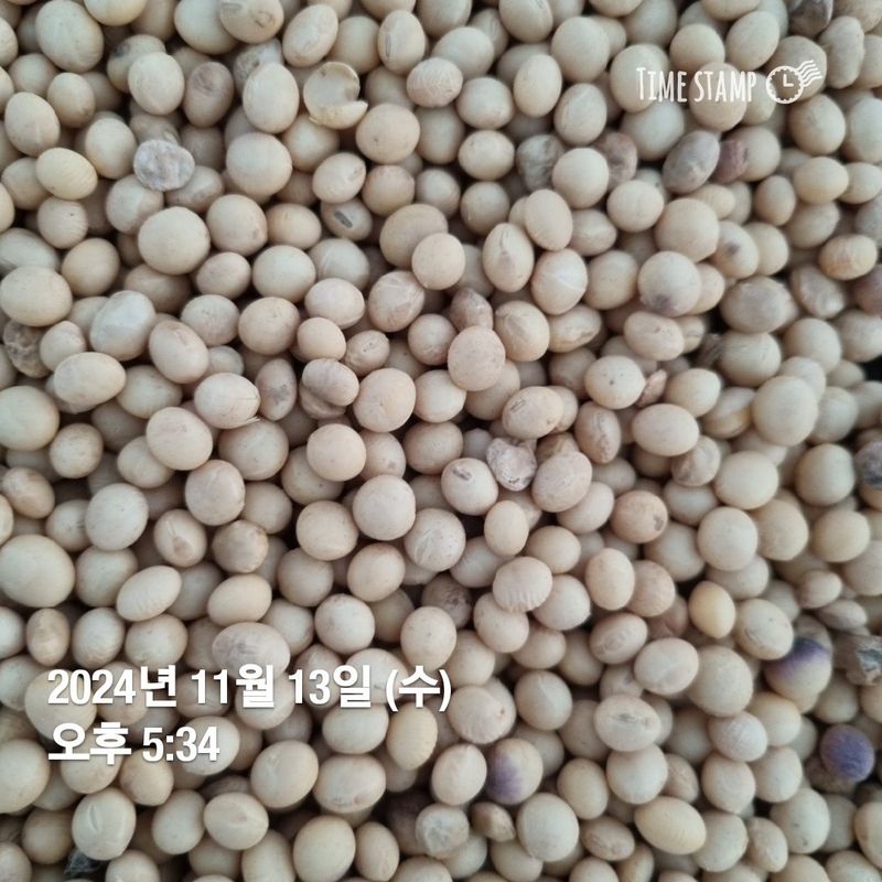 장터 상품 [메주콩 (마지막 남음) 완판] 썸네일