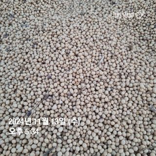 민들레님의 작성글 사진