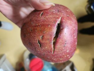 띵코님의 사과 · 병해충상담 작성글 사진