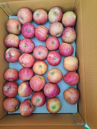 박수정님의 작성글 사진