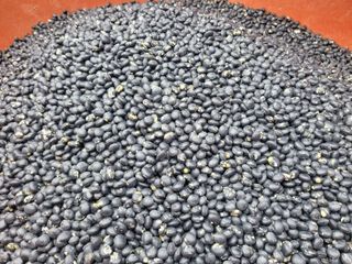 이은호님의 작성글 사진