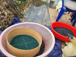 이은호님의 작성글 사진