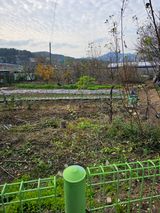 팜모닝 자유주제·자유게시판 게시글 이미지