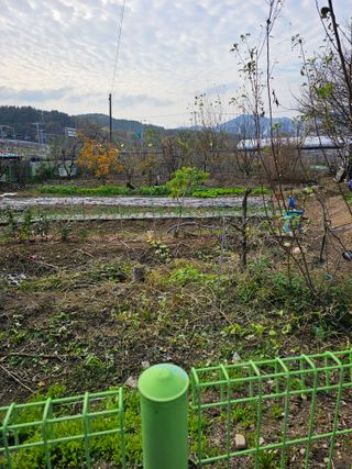 청산거사님의 자유주제 · 자유게시판 작성글 사진