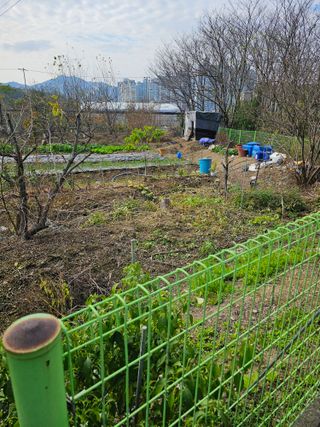 청산거사님의 자유주제 · 자유게시판 작성글 사진