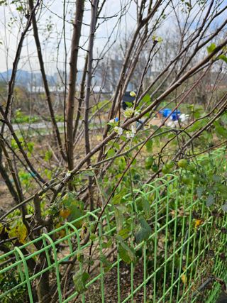 청산거사님의 자유주제 · 자유게시판 작성글 사진
