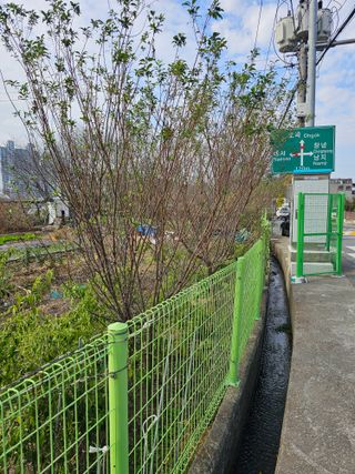 청산거사님의 자유주제 · 자유게시판 작성글 사진