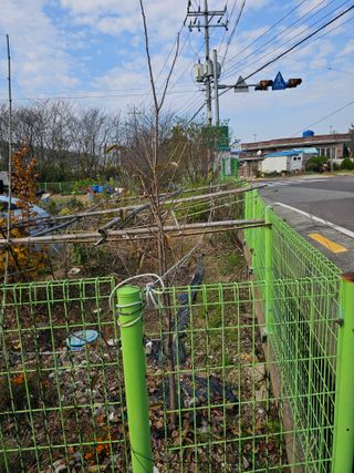 청산거사님의 자유주제 · 자유게시판 작성글 사진
