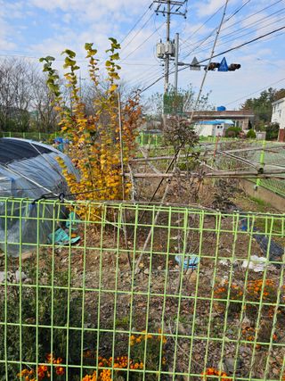 청산거사님의 자유주제 · 자유게시판 작성글 사진