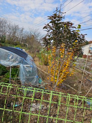 청산거사님의 자유주제 · 자유게시판 작성글 사진