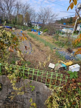 청산거사님의 자유주제 · 자유게시판 작성글 사진