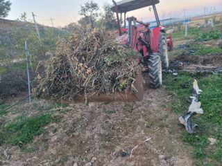 황금알대박농원!님의 자유주제 · 자유게시판 작성글 사진