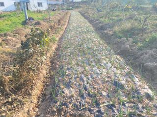 황금알대박농원!님의 자유주제 · 자유게시판 작성글 사진