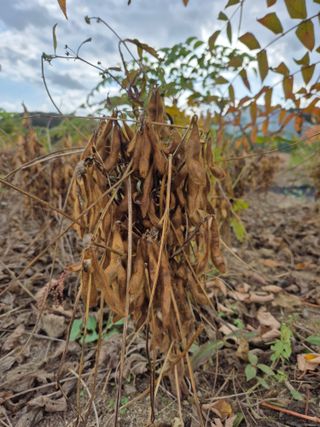 김숙향님의 자유주제 · 자유게시판 작성글 사진