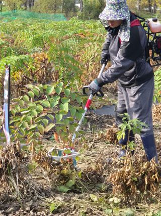 김숙향님의 자유주제 · 자유게시판 작성글 사진