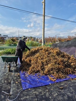 김숙향님의 자유주제 · 자유게시판 작성글 사진