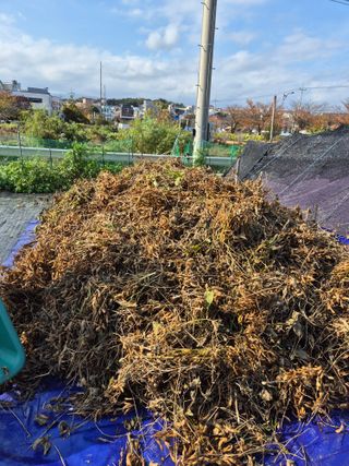 김숙향님의 자유주제 · 자유게시판 작성글 사진