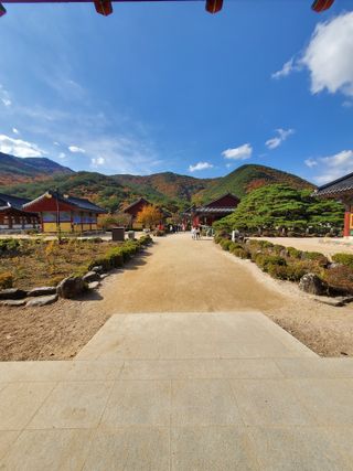 복주농장님의 자유주제 · 사진전 작성글 사진