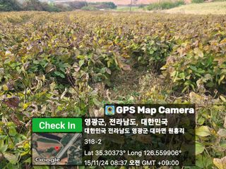 김동제님의 자유주제 · 자유게시판 작성글 사진