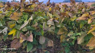 김동제님의 자유주제 · 자유게시판 작성글 사진