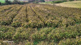 김동제님의 자유주제 · 자유게시판 작성글 사진