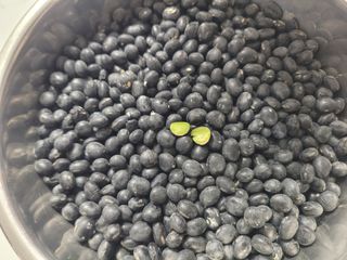 이은호님의 작성글 사진