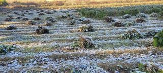 이은호님의 작성글 사진