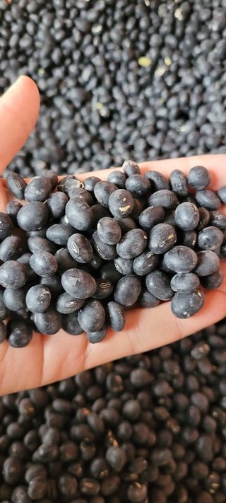 이은호님의 작성글 사진