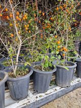 팜모닝 자유주제·자유게시판 게시글 이미지