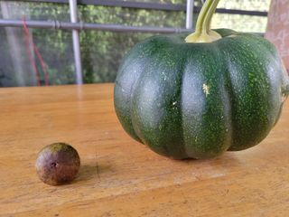 이연종님의 자유주제 · 자유게시판 작성글 사진