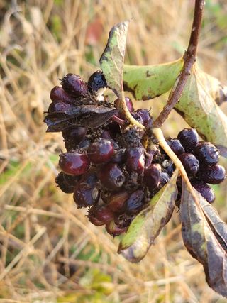 이연종님의 자유주제 · 자유게시판 작성글 사진