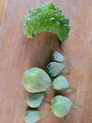 이연종님의 자유주제 · 자유게시판 작성글 사진