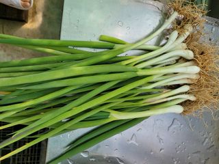 이연종님의 자유주제 · 자유게시판 작성글 사진