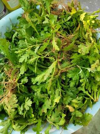 이연종님의 자유주제 · 자유게시판 작성글 사진