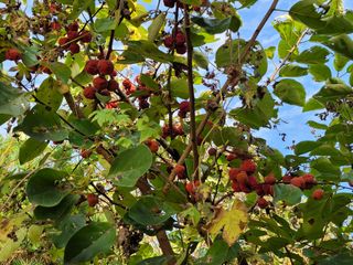이연종님의 자유주제 · 자유게시판 작성글 사진
