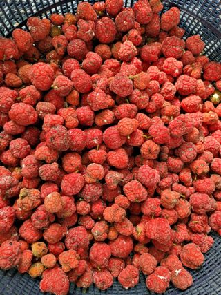 이연종님의 자유주제 · 자유게시판 작성글 사진