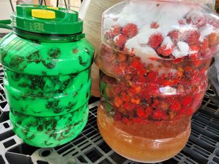 이연종님의 자유주제 · 자유게시판 작성글 사진