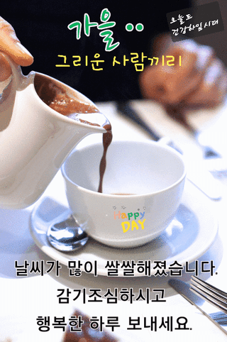 퍼피과수원님의 작성글 사진