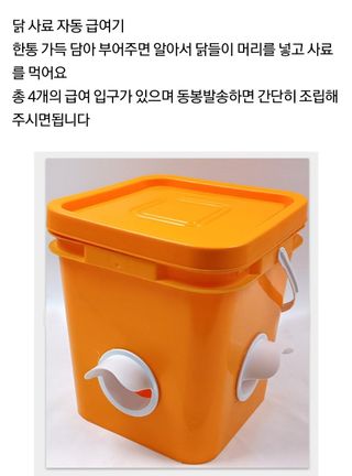 다이쏘(권자영)님의 작성글 사진