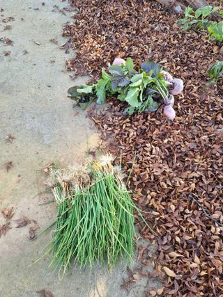 권오정님의 자유주제 · 자유게시판 작성글 사진