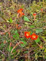 팜모닝 자유주제·자유게시판 게시글 이미지