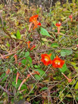 마늘6843님의 자유주제 · 자유게시판 작성글 사진