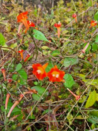 마늘6843님의 자유주제 · 자유게시판 작성글 사진