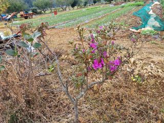 마늘6843님의 자유주제 · 자유게시판 작성글 사진